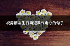 祝男朋友生日简短霸气走心的句子(精选48句)